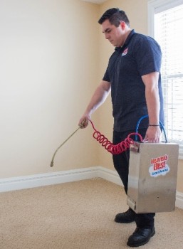 operator cleaning carpet